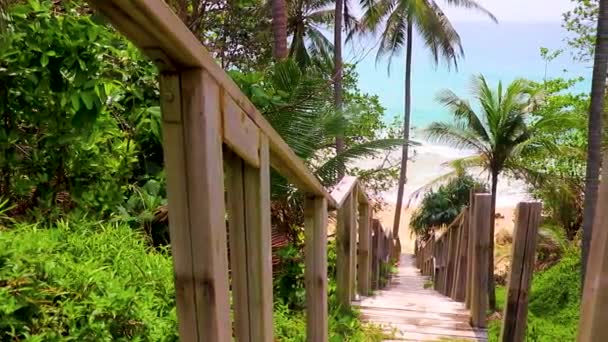 Сходи Дереву Затоки Най Тон Найтон Ландшафтної Панорами Прекрасний Пляж — стокове відео