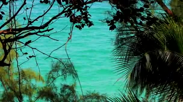 Nai Thon Naithon Beach Een Droom Baai Uitzicht Achter Palmbomen — Stockvideo
