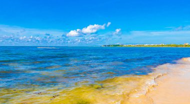 Playa del Carmen Meksika 'da turkuvaz mavisi berrak sulara sahip tropik Meksika sahili manzarası ve Karayip denizi.