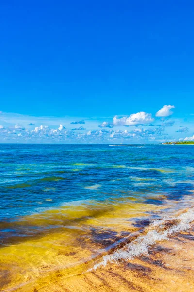 Panorama Playa Tropical Mexicana Mar Caribeño Con Agua Azul Turquesa — Foto de Stock