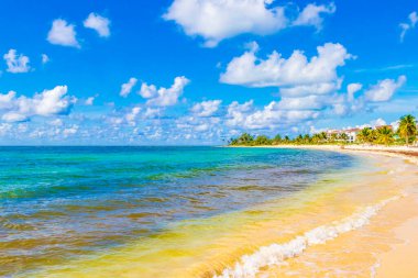 Playa del Carmen Meksika 'da turkuvaz mavisi berrak sulara sahip tropik Meksika sahili manzarası ve Karayip denizi.