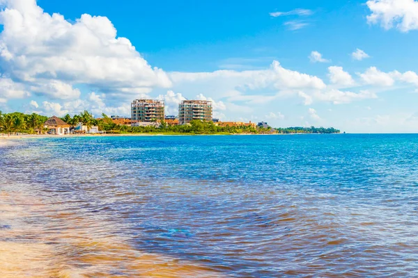 Panorama Playa Tropical Mexicana Mar Caribeño Con Agua Azul Turquesa — Foto de Stock