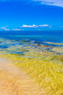 Playa del Carmen Meksika 'da berrak turkuaz mavi su kayaları ve taşlarla tropik Meksika sahili manzarası.