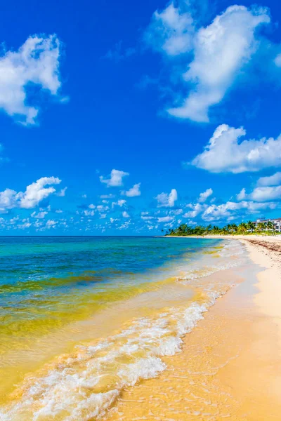 プラヤデルカルメンメキシコの澄んだターコイズブルーの水で熱帯メキシコのビーチの風景のパノラマとカリブ海 — ストック写真