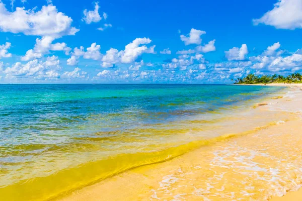 プラヤデルカルメンメキシコの澄んだターコイズブルーの水で熱帯メキシコのビーチの風景のパノラマとカリブ海 — ストック写真