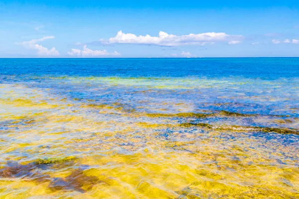 Playa Del Carmen Meksika Berrak Turkuaz Mavi Kayaları Taşlarla Tropik — Stok fotoğraf