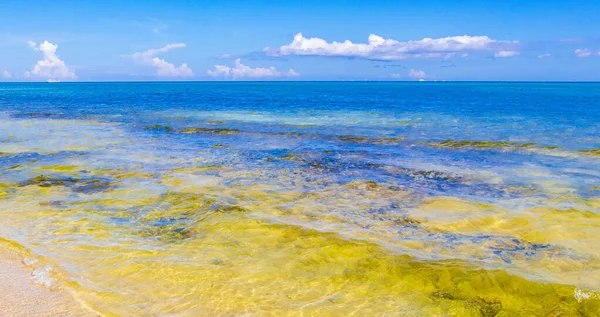 Panorama Tropical Playa Mexicana Con Rocas Piedras Agua Azul Turquesa — Foto de Stock