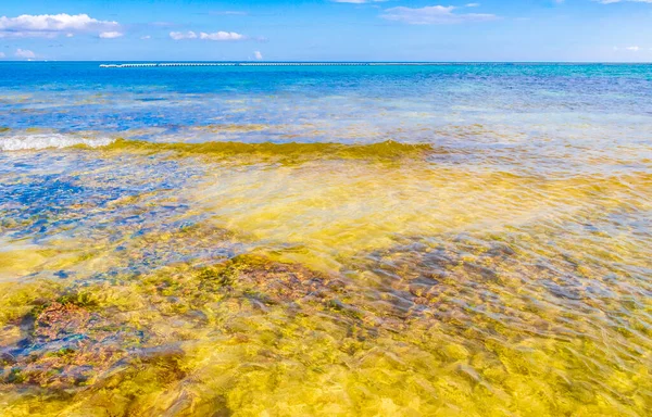 Panorama Paisagem Praia Tropical Mexicana Com Rochas Água Azul Turquesa — Fotografia de Stock