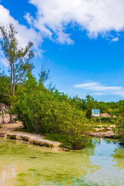 Small Beautiful Cenote Cave River Turquoise Blue Water Punta Esmeralda — Stock Photo, Image