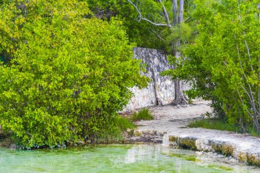 Playa del Carmen Quintana Roo Mexico 'daki Punta Esmeralda plajında nehir ve turkuaz mavisi suları olan küçük güzel Cenote mağarası..