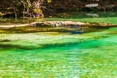 Playa del Carmen Quintana Roo Mexico 'daki Punta Esmeralda plajında nehir ve turkuaz mavisi suları olan küçük güzel Cenote mağarası..