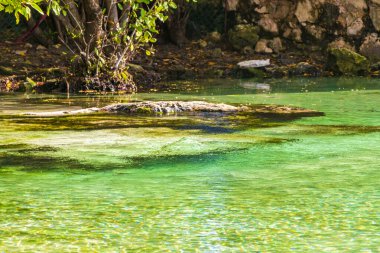 Playa del Carmen Quintana Roo Mexico 'daki Punta Esmeralda plajında nehir ve turkuaz mavisi suları olan küçük güzel Cenote mağarası..