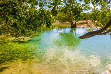 Playa del Carmen Quintana Roo Mexico 'daki Punta Esmeralda plajında nehir ve turkuaz mavisi suları olan küçük güzel Cenote mağarası..