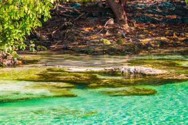 Playa del Carmen Quintana Roo Mexico 'daki Punta Esmeralda plajında nehir ve turkuaz mavisi suları olan küçük güzel Cenote mağarası..