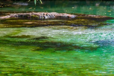 Playa del Carmen Quintana Roo Mexico 'daki Punta Esmeralda plajında nehir ve turkuaz mavi su desenli küçük güzel Cenote mağarası..