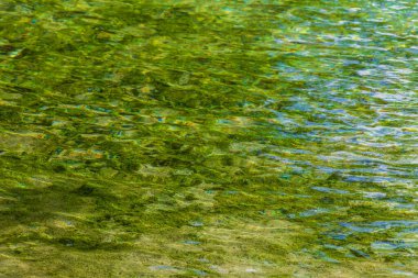 Playa del Carmen Quintana Roo Mexico 'daki Punta Esmeralda plajında nehir ve turkuaz mavi su desenli küçük güzel Cenote mağarası..