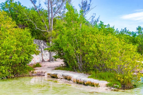 Pequeña Cueva Hermosa Cenote Con Río Agua Azul Turquesa Playa — Foto de Stock