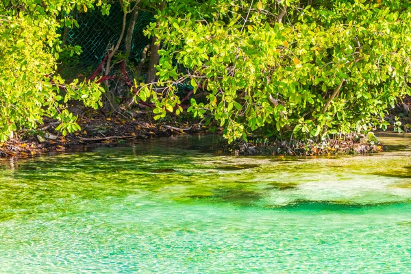 Petite Belle Grotte Cenote Avec Rivière Eau Bleue Turquoise Plage — Photo