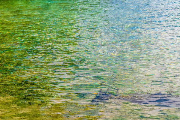 멕시코의 카르멘 킨타나 에스메랄다 해변에서 청록색 물줄기가 아름다운 세노테 — 스톡 사진