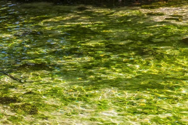 Pequeña Cueva Hermosa Cenote Con Patrón Textura Agua Azul Turquesa —  Fotos de Stock