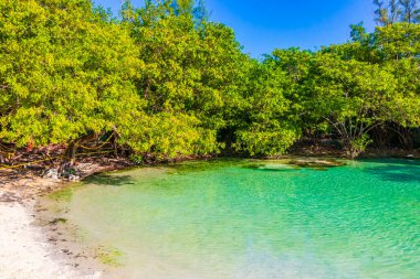 Playa del Carmen Quintana Roo Mexico 'daki Punta Esmeralda plajında nehir ve turkuaz mavisi suları olan küçük güzel Cenote mağarası..