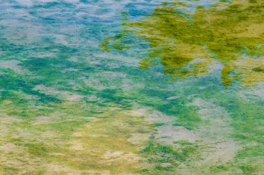 Playa del Carmen Quintana Roo Mexico 'daki Punta Esmeralda plajında nehir ve turkuaz mavi su desenli küçük güzel Cenote mağarası..