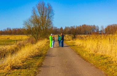 Buergerpark Geestemnde Bremerhaven Bremen Almanya 'sında doğal manzara göl yolu yeşil bitkiler ve orman.