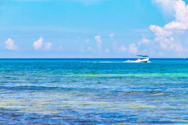 Playa 88 ve Playa del Carmen Quintana Roo Meksika 'daki Punta Esmeralda' dan tropikal Meksika sahili manzaralı rıhtımda vapur vapuru iskelesi ve limanı..