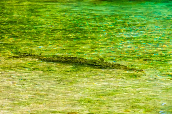 Kleine Schöne Cenote Höhle Mit Fluss Und Türkisblauem Wassermuster Strand — Stockfoto