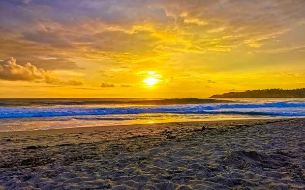해변에 노란색 오렌지색의 아름다운 다채롭고 황금빛 멕시코 푸에르토에 사카의 자연에 — 스톡 사진