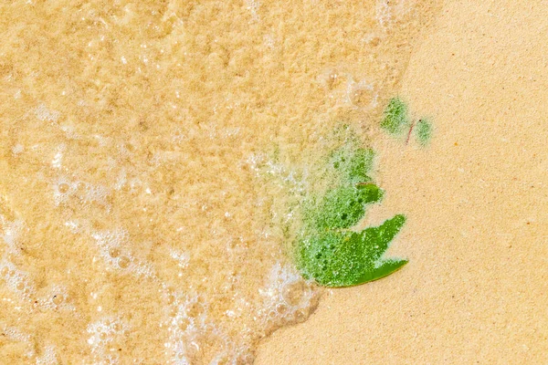 Folhagem Tropical Areia Água Praia Playa Del Carmen Quintana Roo — Fotografia de Stock