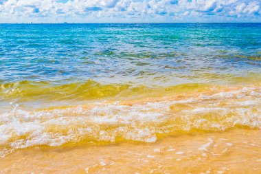 Playa del Carmen Meksika 'da berrak turkuaz mavi sularla tropikal Meksika sahili manzarası ve Karayip denizinde dalgalar.