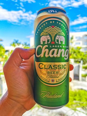 Thai Chang birası tropik cennette ama Playa del Carmen Quintana Roo Meksika 'da.