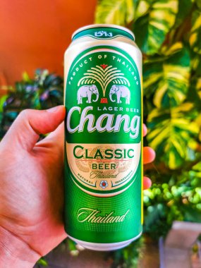 Thai Chang birası tropik cennette ama Playa del Carmen Quintana Roo Meksika 'da.