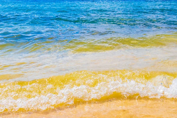 Ondas Paisagem Tropical Mexicana Praia Panorama Mar Caribe Com Água — Fotografia de Stock