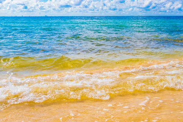 Ondas Paisagem Tropical Mexicana Praia Panorama Mar Caribe Com Água — Fotografia de Stock