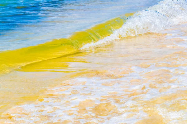 Olas Paisaje Tropical Playa Mexicana Mar Caribe Con Agua Azul —  Fotos de Stock