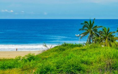Sörfçü dalgaları, palmiye ağaçları ve Zicatela Puerto Escondido Oaxaca 'da mavi gökyüzü ile güzel doğal manzara..