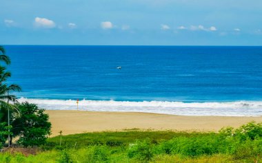 Sörfçü dalgaları, palmiye ağaçları ve Zicatela Puerto Escondido Oaxaca 'da mavi gökyüzü ile güzel doğal manzara..