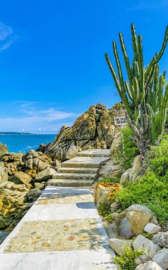 Son derece güzel büyük sörfçü Zicatela Puerto Escondido Oaxaca sahilinde kayalıkları taşları ve kayaları sallıyor..