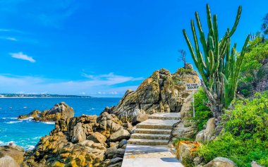 Son derece güzel büyük sörfçü Zicatela Puerto Escondido Oaxaca sahilinde kayalıkları taşları ve kayaları sallıyor..