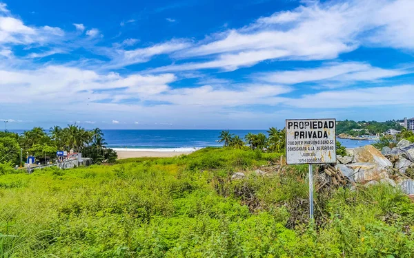 Schöne Natürliche Aussicht Mit Surfer Wellen Palmen Und Blauem Himmel — Stockfoto