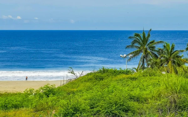 Bela Vista Panorâmica Natural Com Ondas Surfista Palmeiras Céu Azul — Fotografia de Stock