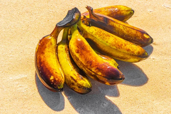 卡门金塔纳罗奥岛海滩上的香蕉丛水果浮在水面上 — 图库照片