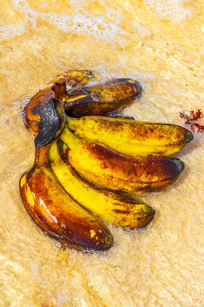 Banana Bundle Frutas Flutua Água Praia Playa Del Carmen Quintana — Fotografia de Stock