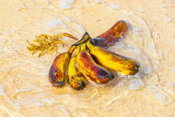 Banana Bundle Fruits Floats Water Beach Playa Del Carmen Quintana — Stock Photo, Image