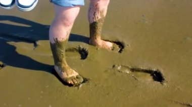 Wursten Cuxhaven 'da Wursten Saksonya' da Kuzey Denizi kıyısında mavi gökyüzü ile yürüyüş yapan deniz manzarası ve çamur düzlükleri..