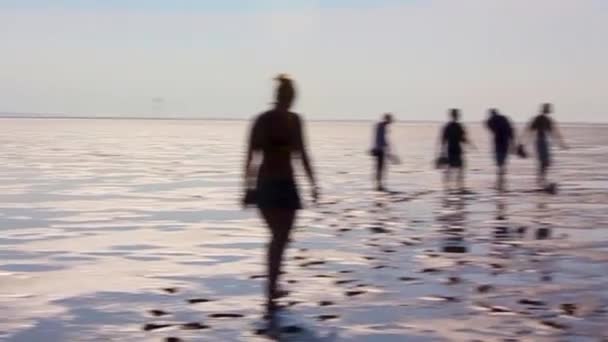 Seascape Beach Mudflats Hiking Blue Sky North Sea Coast Wremen — Αρχείο Βίντεο