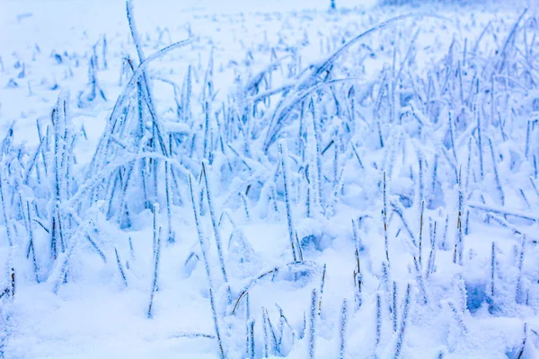 Зимова Крига Куксгафені Нижня Саксонія Німеччина — стокове фото