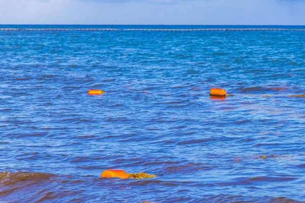Belas Ondas Água Azul Azul Turquesa Oceano Amarelo Vermelho Laranja — Fotografia de Stock